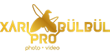 Xarı Bülbül Pro